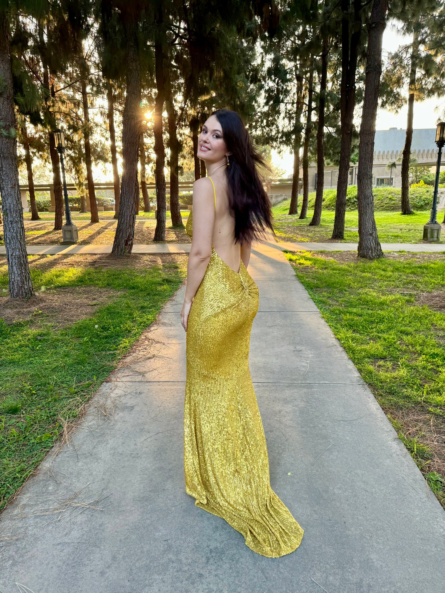 Natasha sequin open back hourglass gown