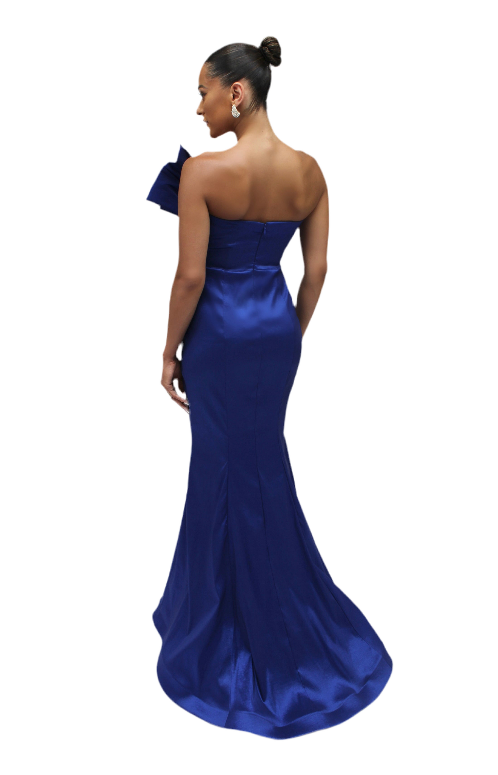 Sophisticated approach form fitted hourglass gown Rubber Ducky Sophisticated approach form fitted hourglass gown Rubber Ducky