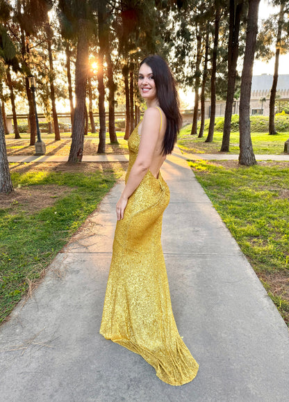 Natasha sequin open back hourglass gown